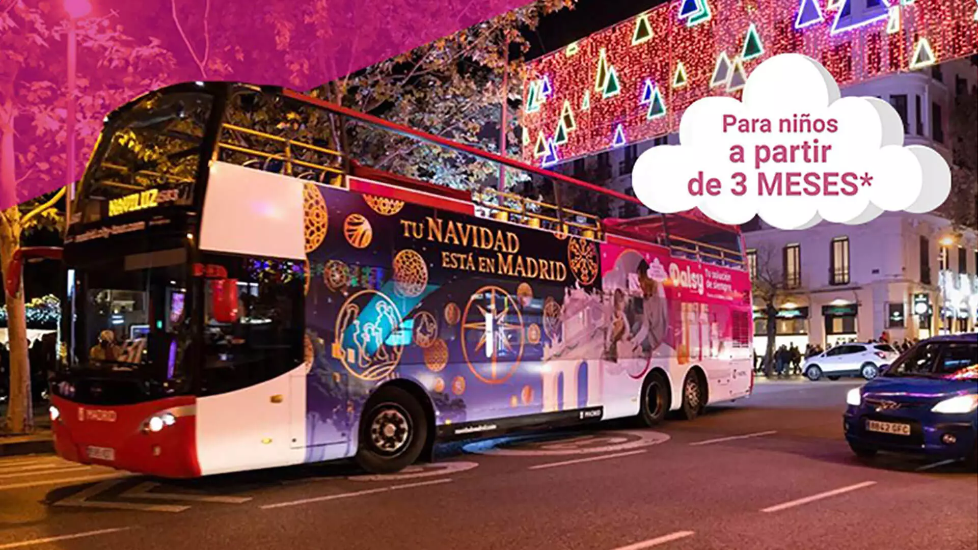 Dalsy Bus Branding