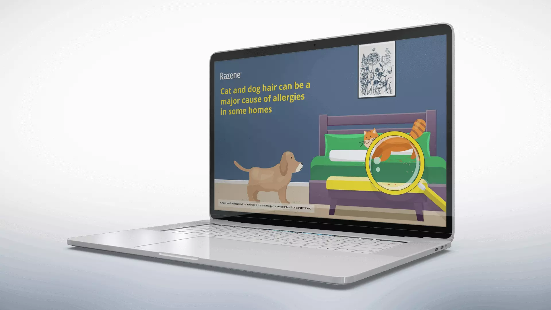 Razene Educational Video