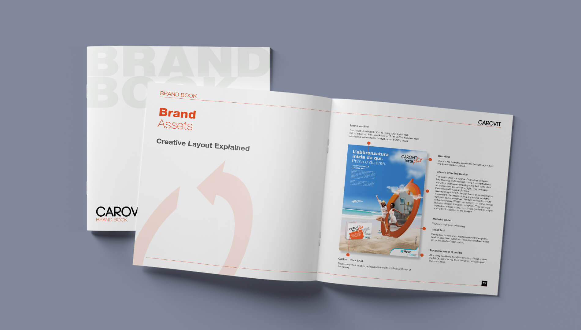 Carovit Brand Book