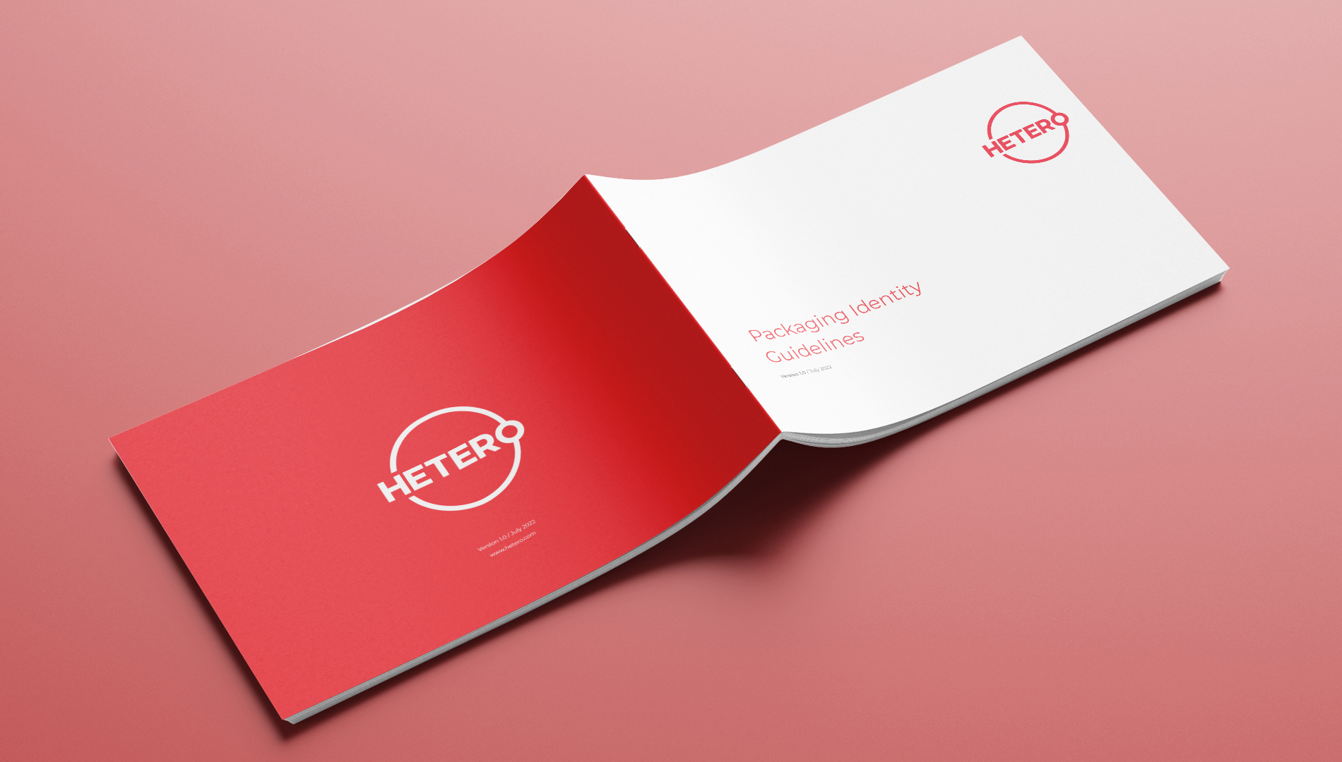 Hetero Packaging Identity and Guidelines