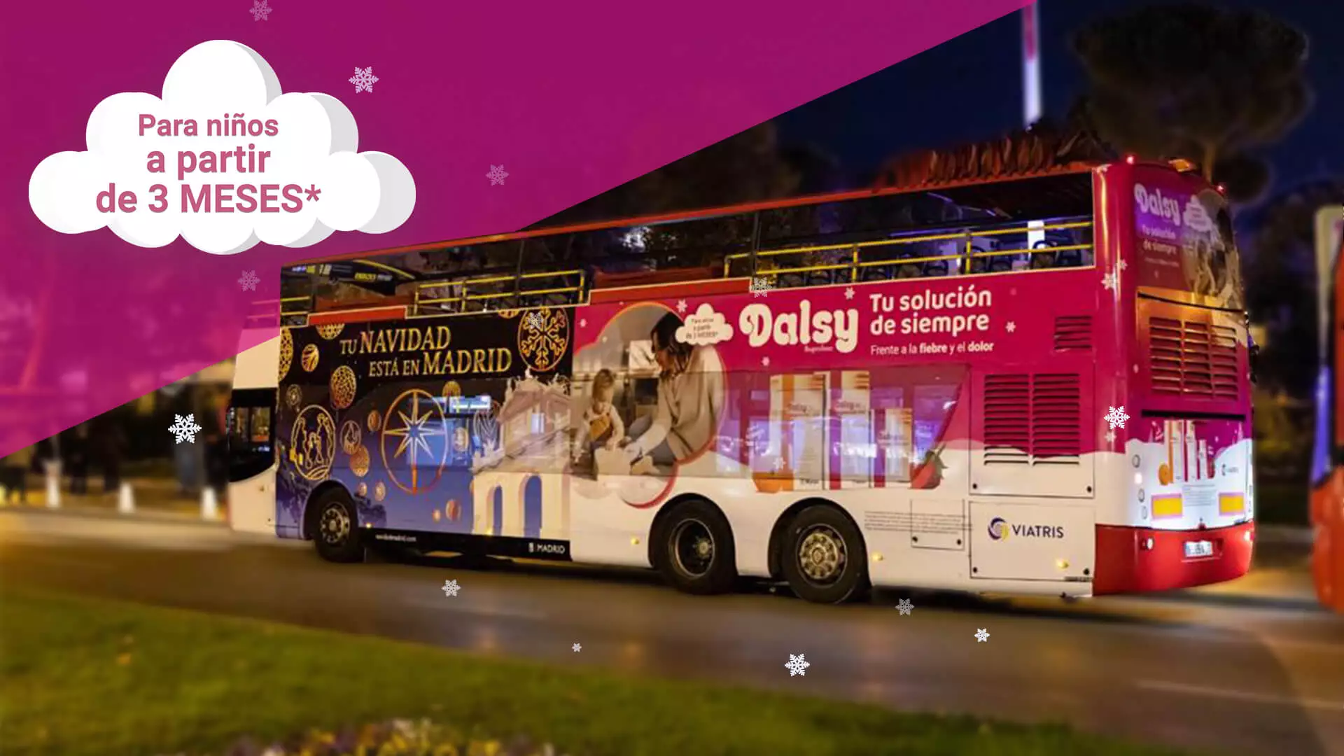Dalsy Bus Branding