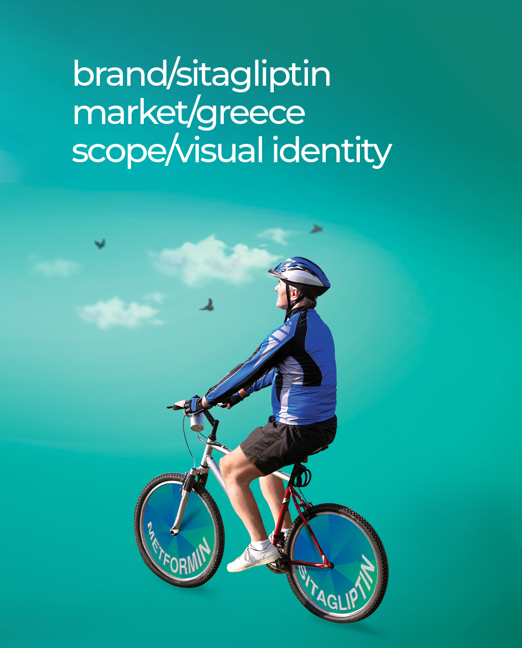 Sitagliptin-Visual Identity