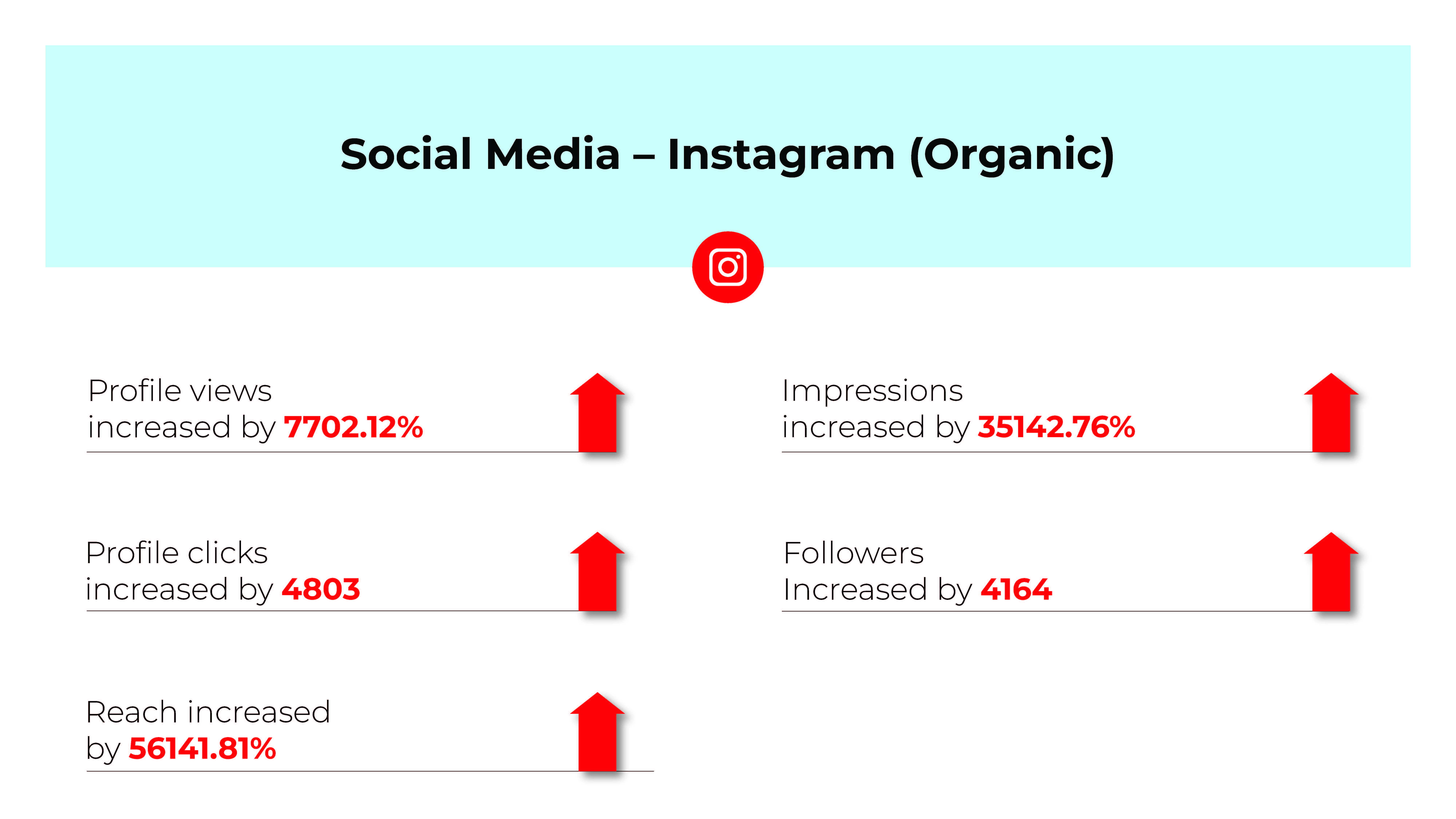 Fischer - Digital Marketing Campaign
