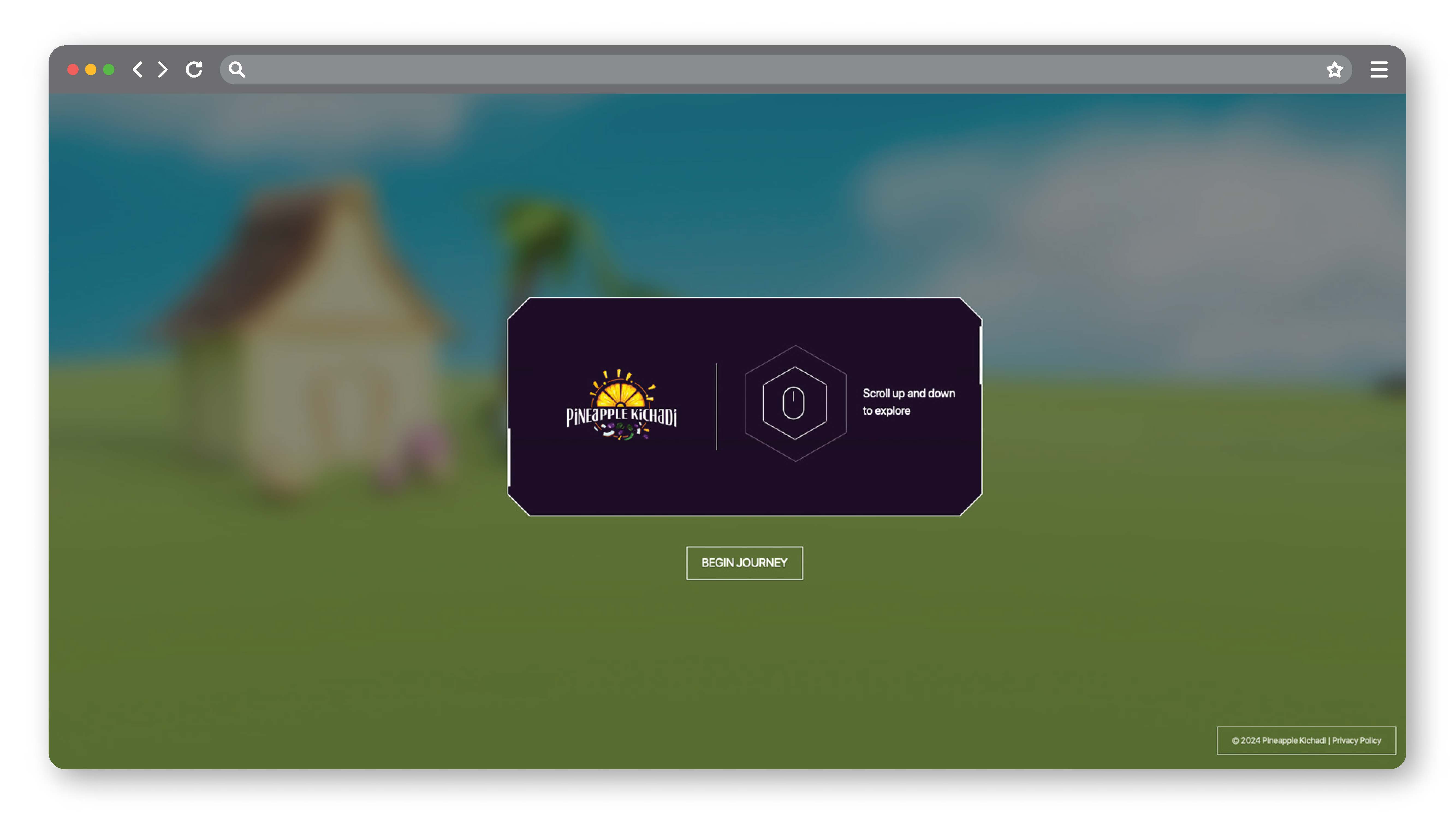 Pineapple Kichadi - Website Design