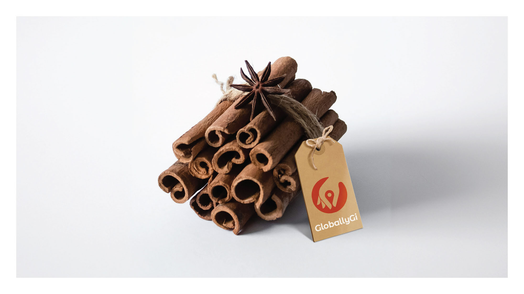 Global Gi - Brand Identity