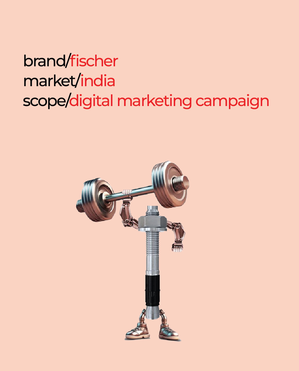 Fischer - Digital Marketing Campaign
