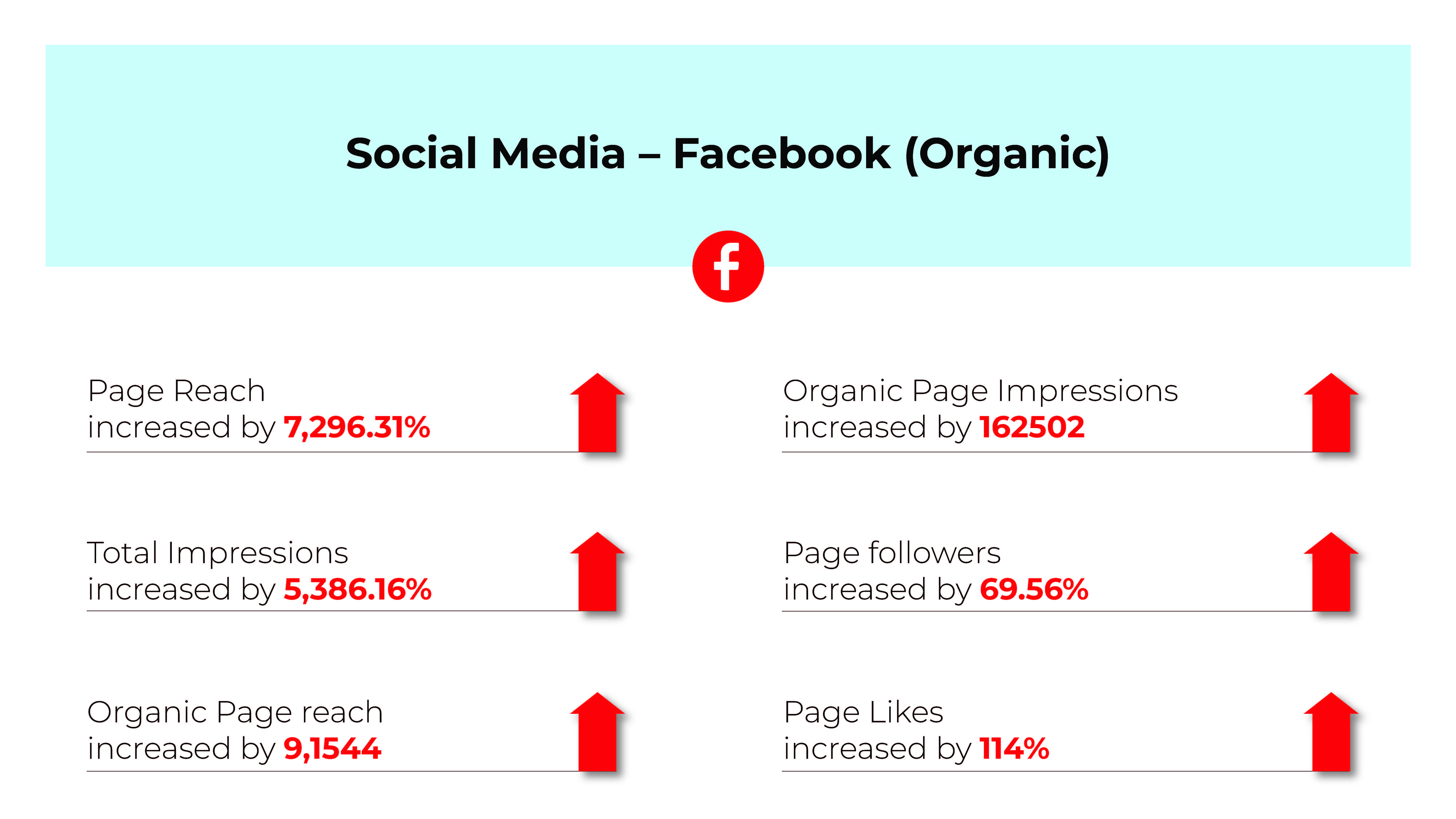 Fischer - Digital Marketing Campaign