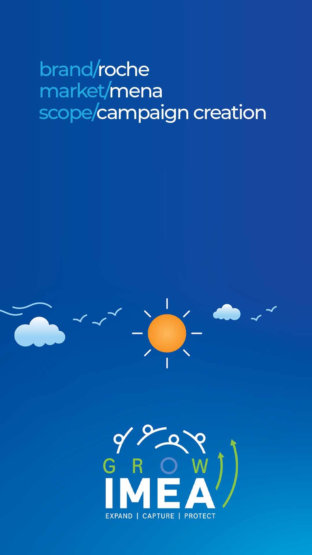 Roche - campaign creation