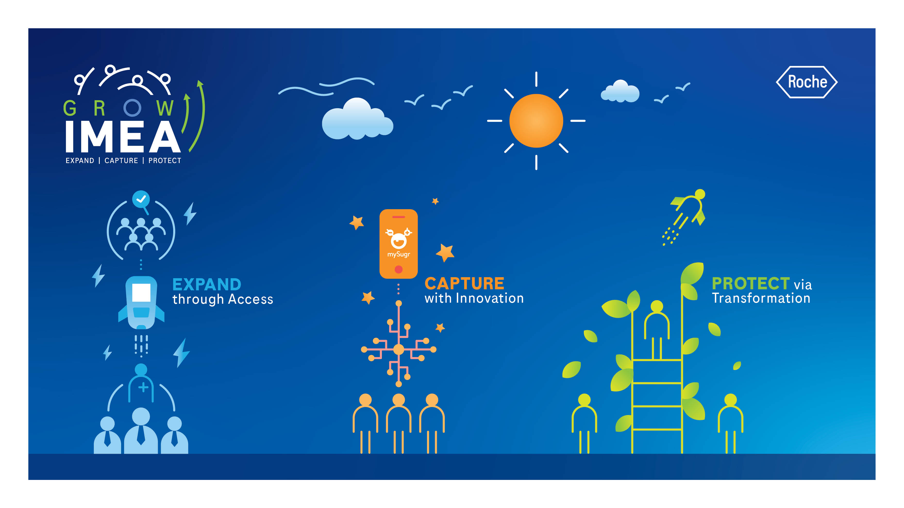 Roche - campaign creation