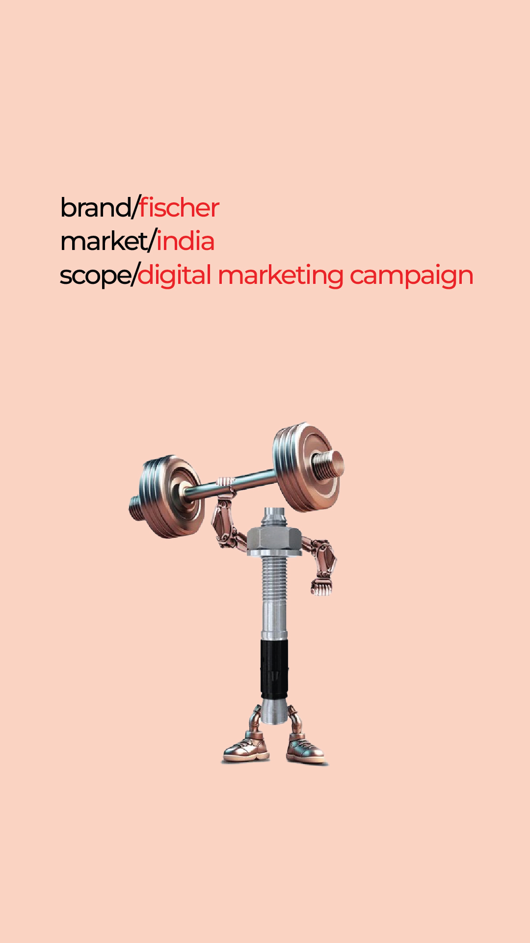 Fischer - Digital Marketing Campaign