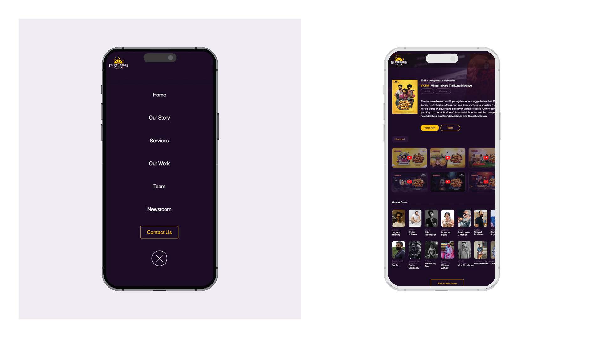 Pineapple Kichadi - Website Design