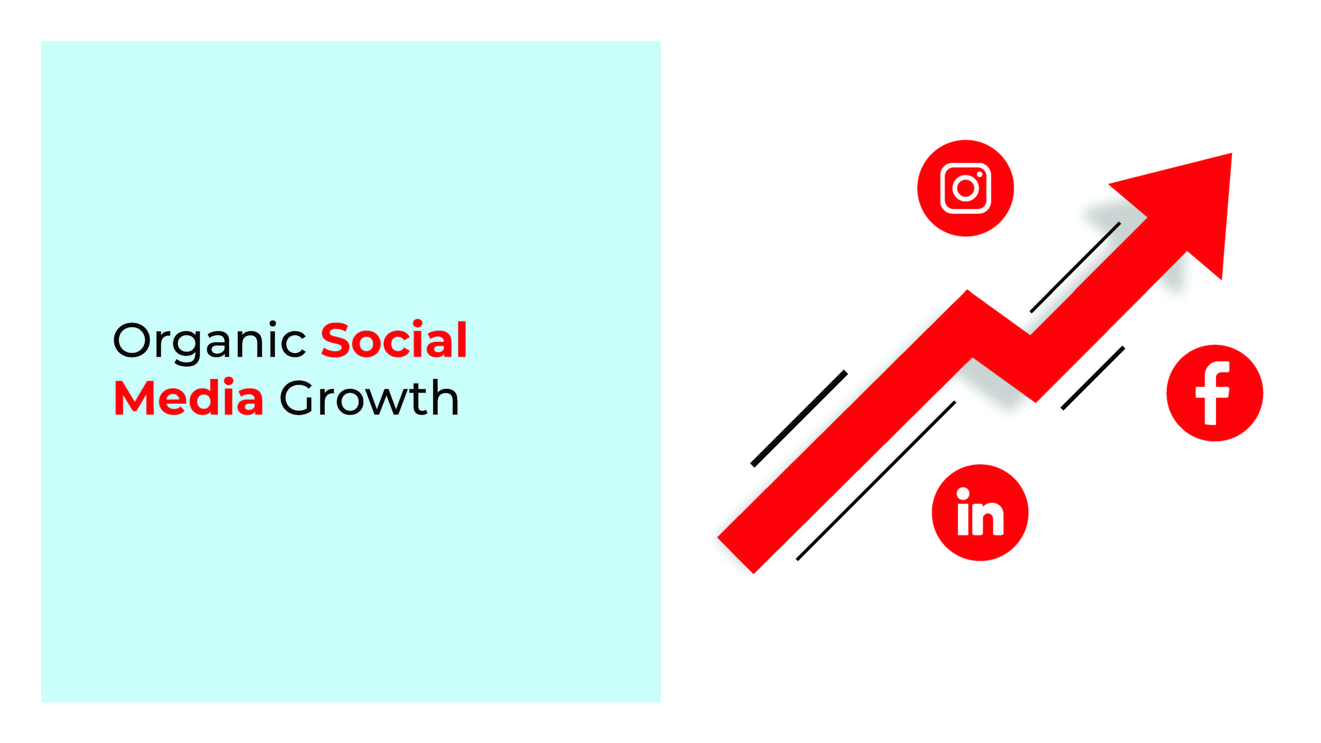 Fischer - Digital Marketing Campaign