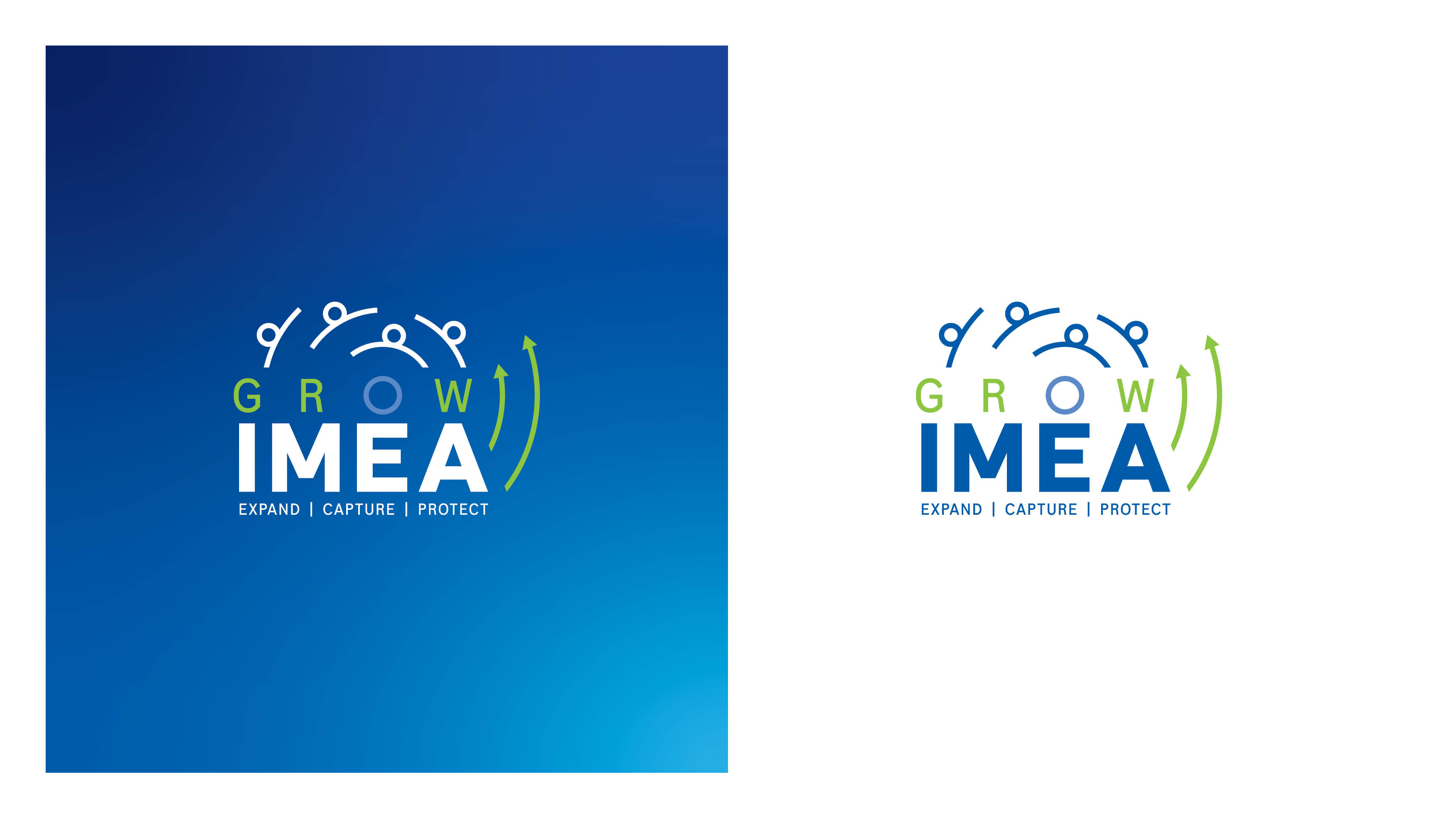 Roche - campaign creation