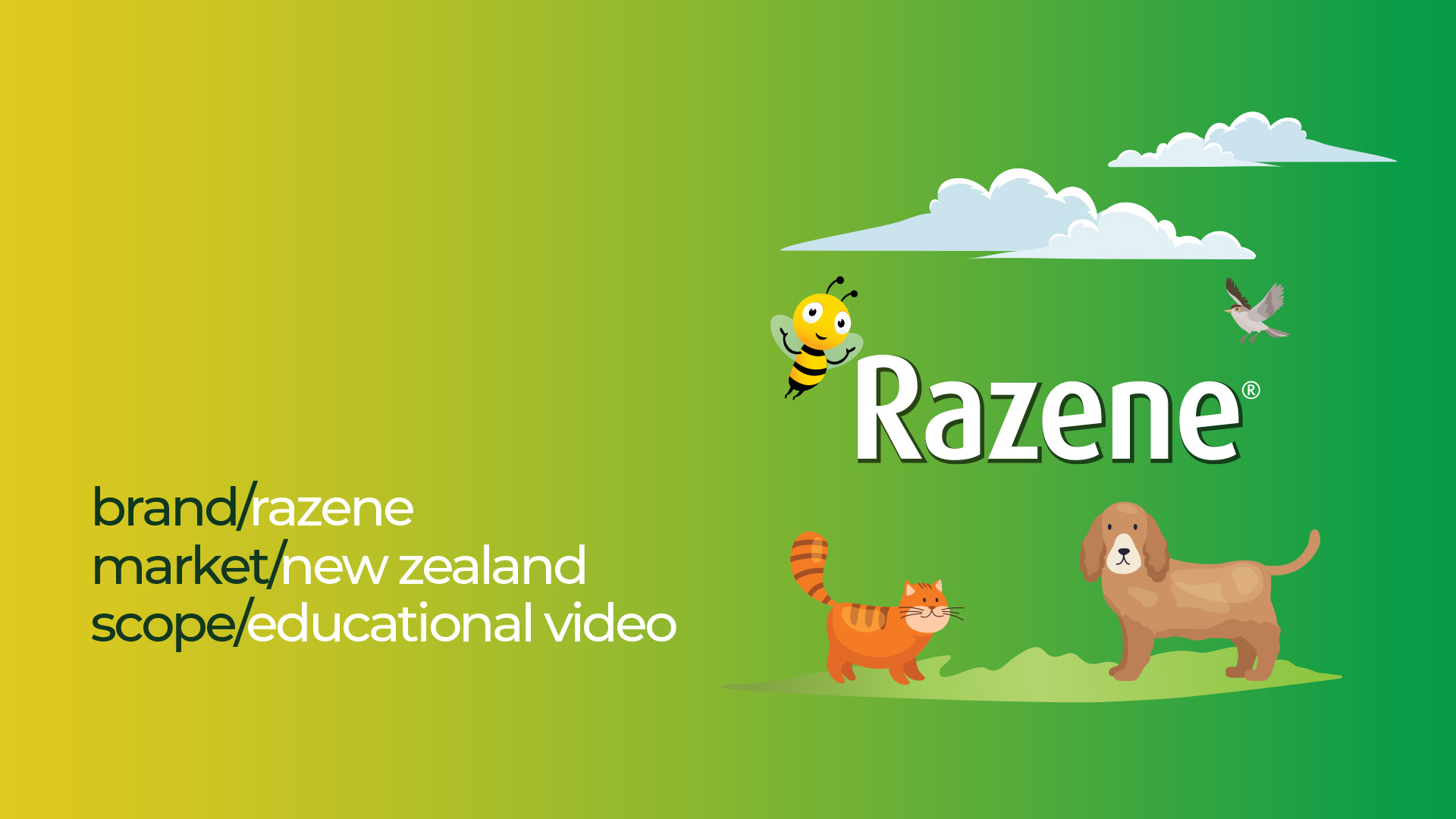 Razene - educational video