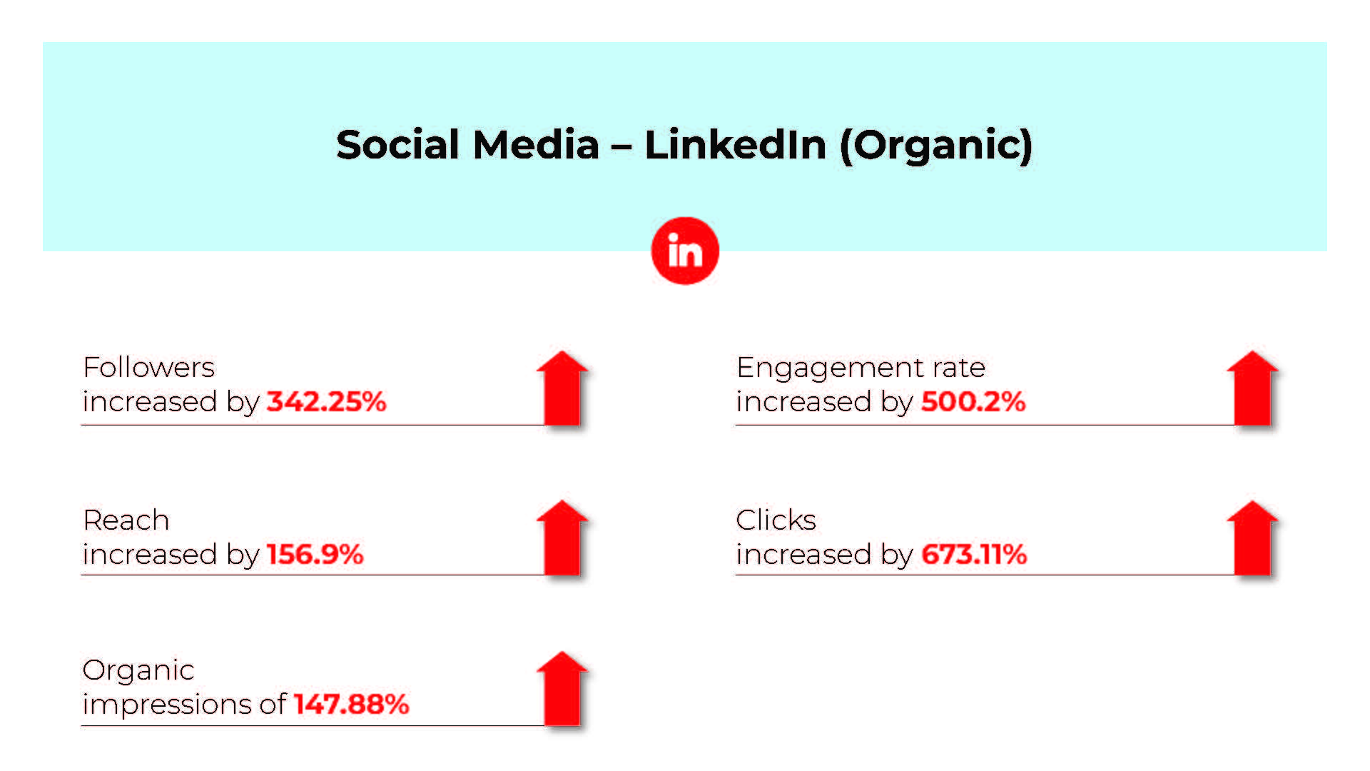 Fischer - Digital Marketing Campaign