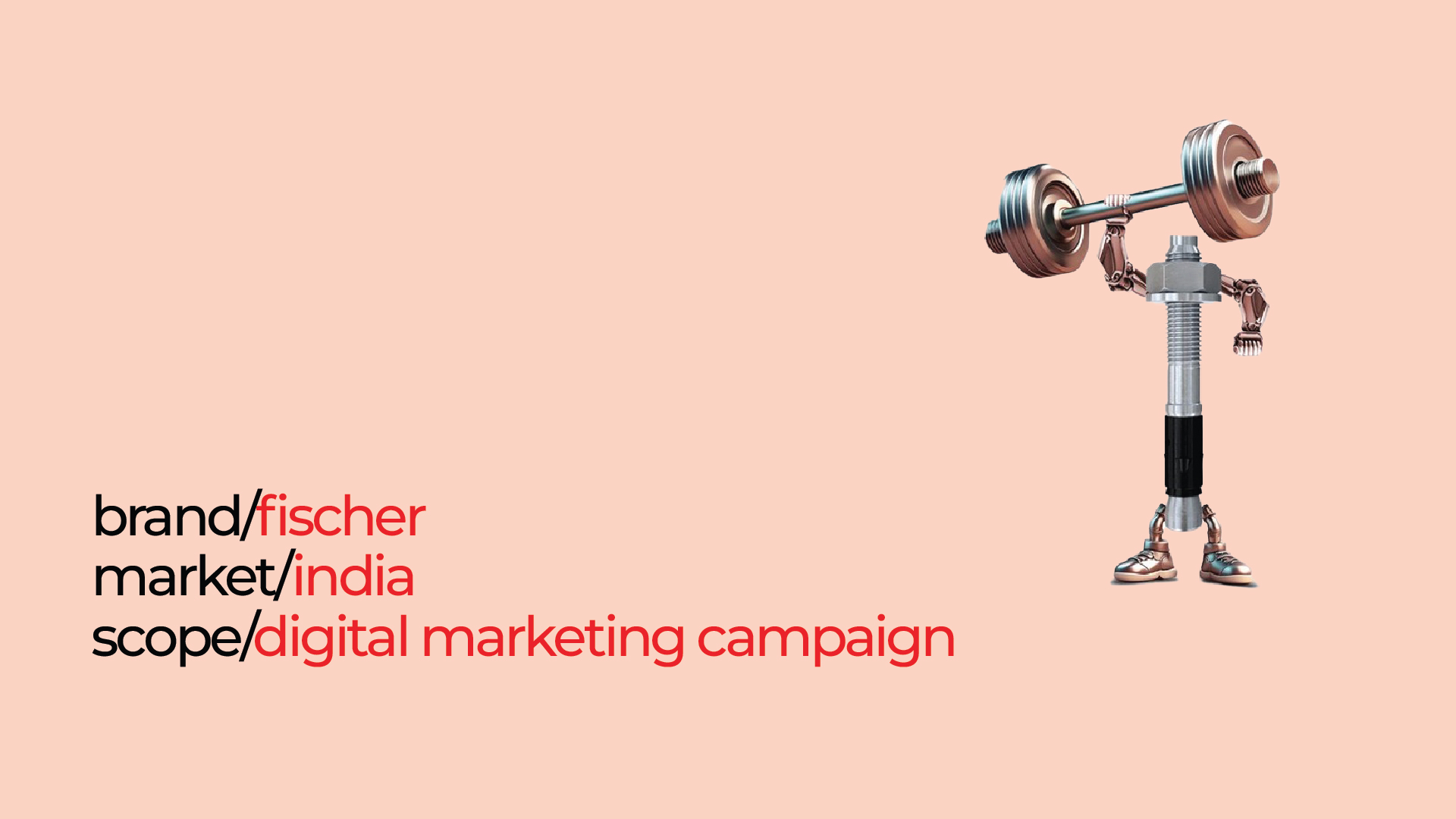 Fischer - Digital Marketing Campaign