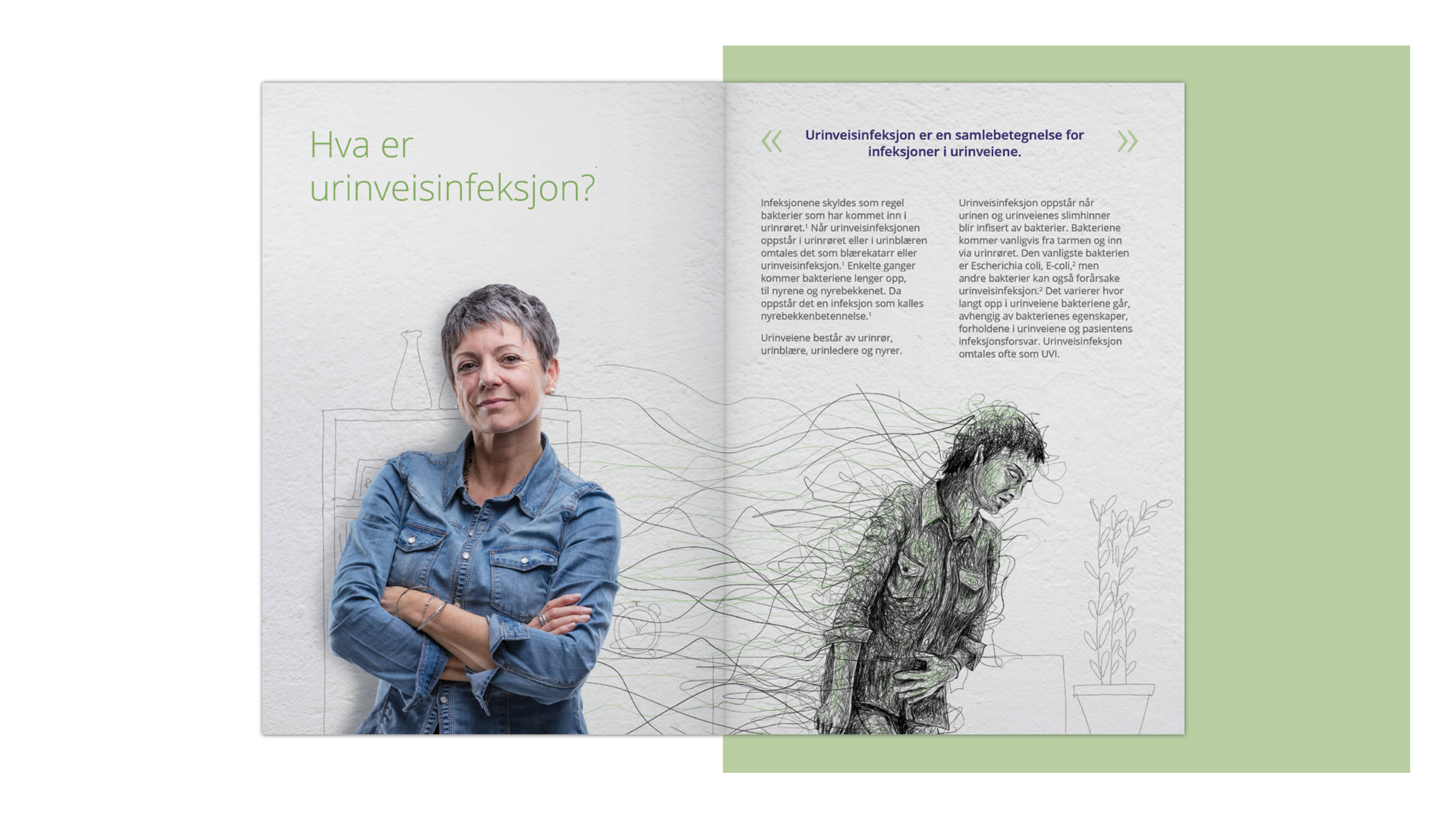 Urinary Tract Infection - booklet design