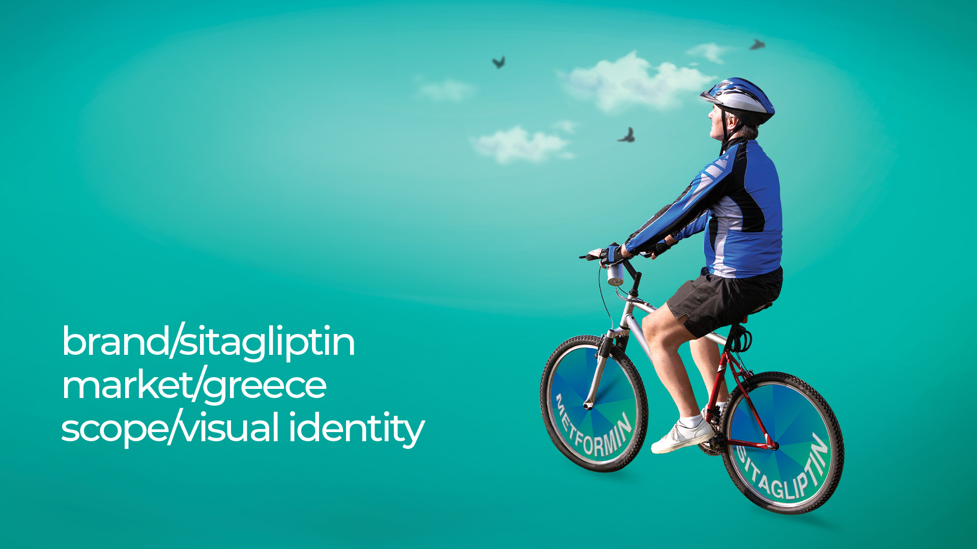 Sitagliptin-Visual Identity